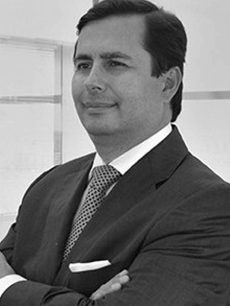 Bernanrdo Cardona- Sintergia